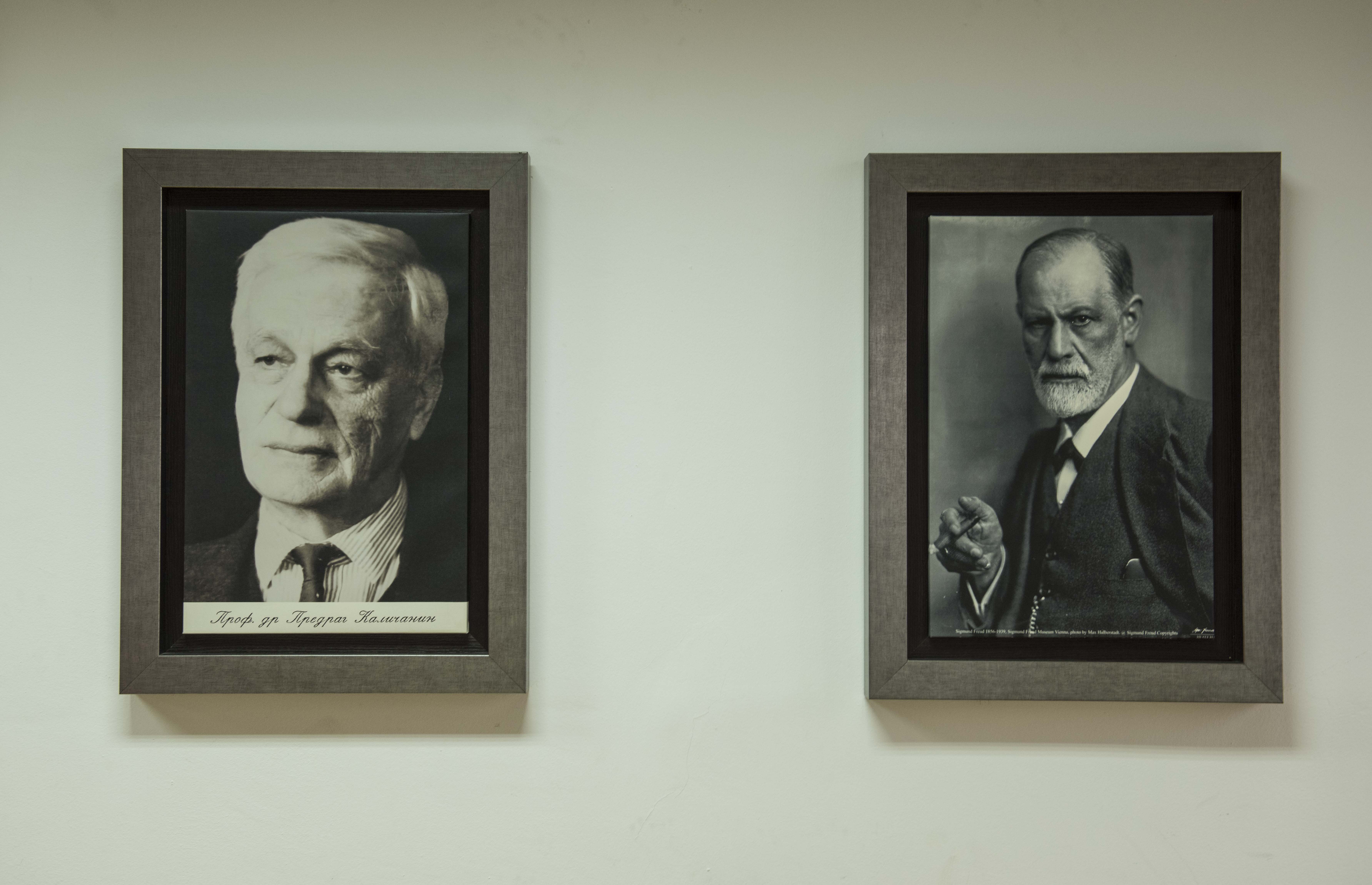 Служба за научно истраживачку и образовну делатност Проф.др Предраг Каличанин Служба за научно истраживачку и образовну делатност Проф.др Предраг Каличанин