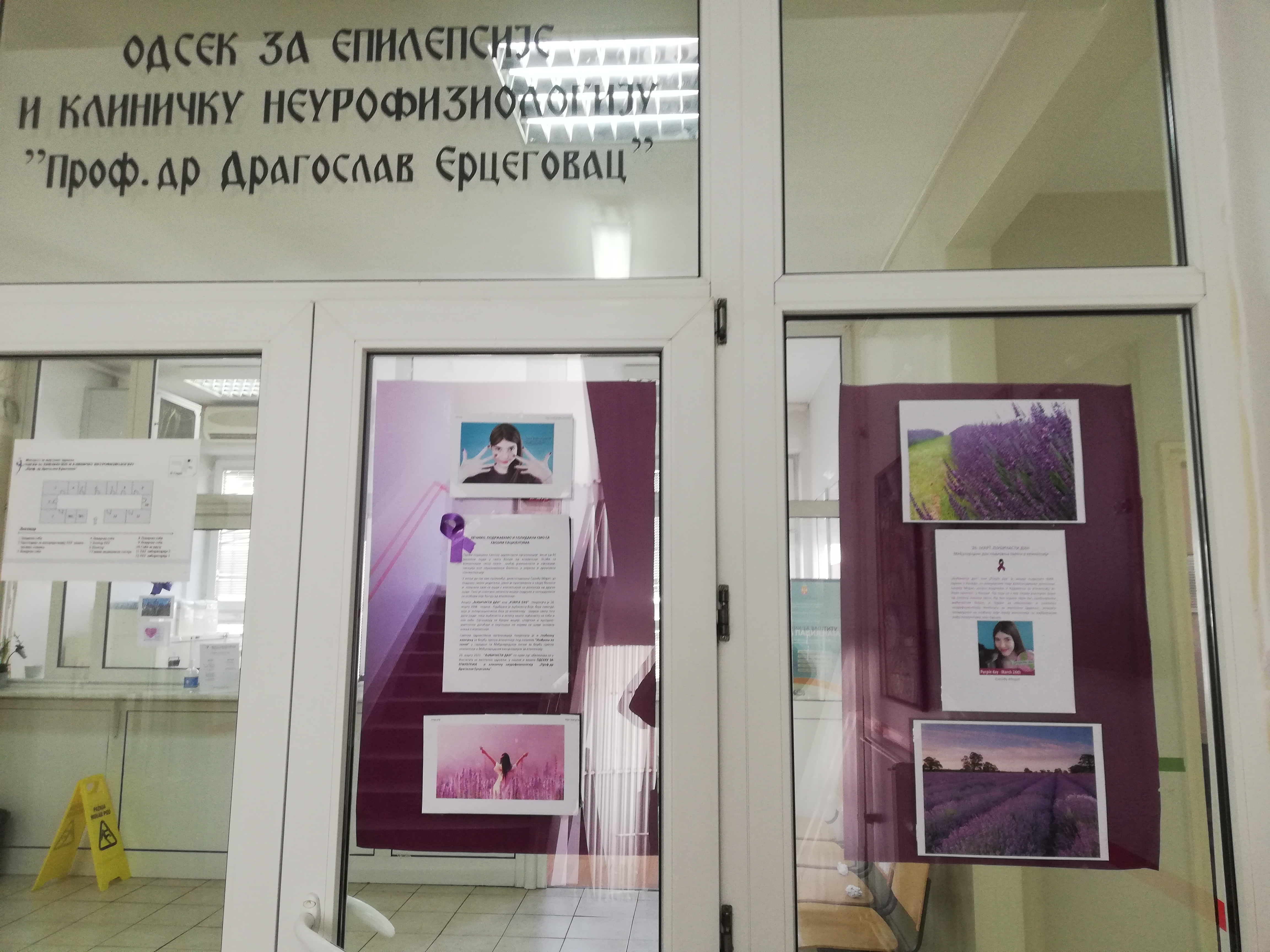 Љубичасти дан Љубичасти дан